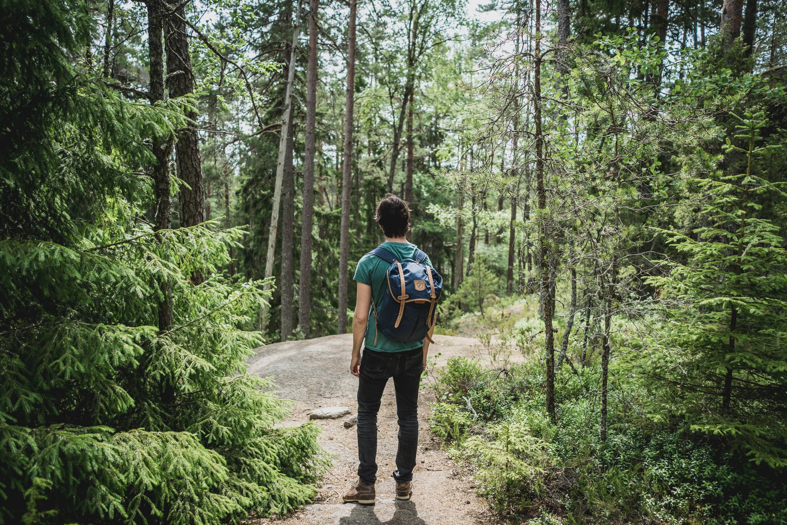 Sunny Hike Alone